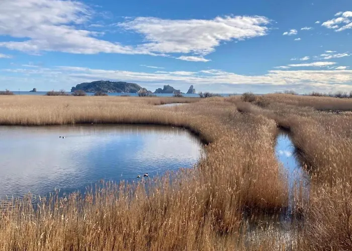 Lägenhet In Estartit With Garden *